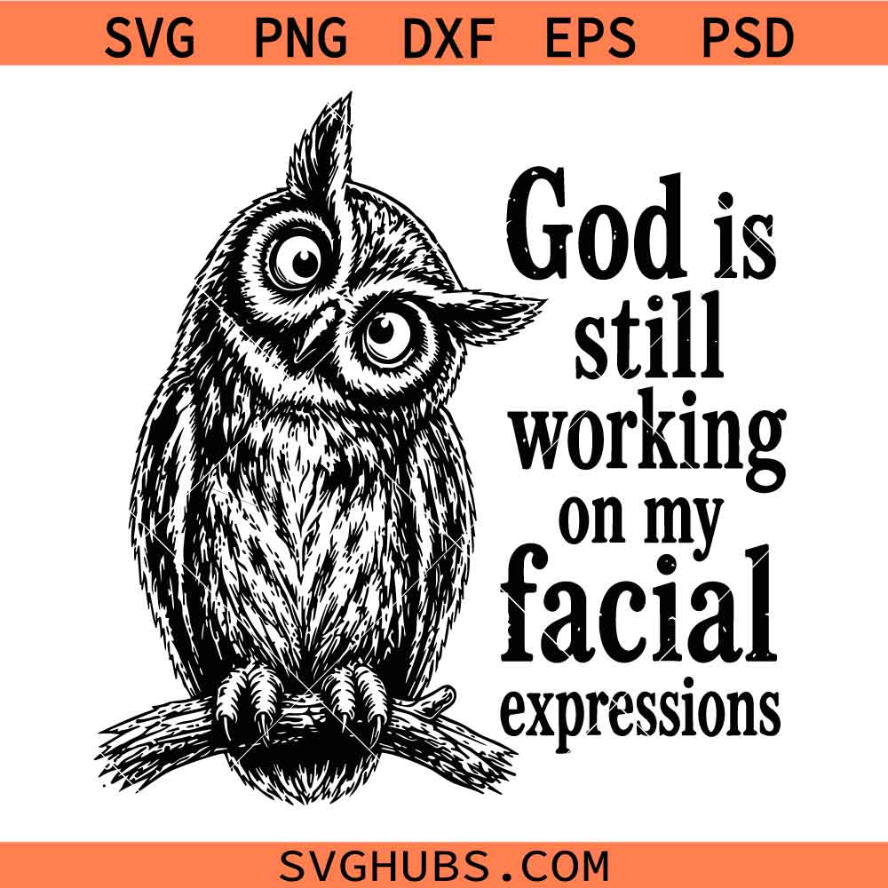 God is Still Working On My Facial Expressions SVG, Sarcastic Owl Svg, Owl Humor SVG