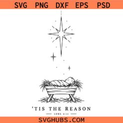 Tis the reason Luke 2 11 SVG, The Nativity Scene SVG, Christian Christmas Decor SVG, Scripture SVG, The King is Born SVG